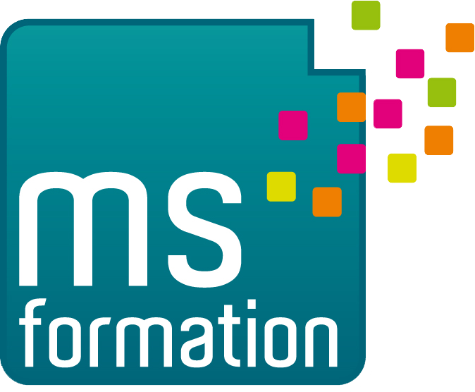 Logo_MS_FORMATION_HD